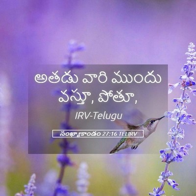 Picture 05 - సంఖ్యాకాండం 27:16 TELIRV - అతడు వారి ముందు - Bible Verse Picture
