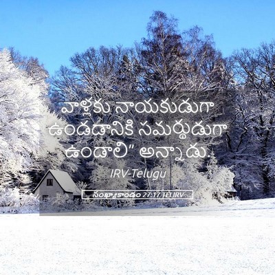 Picture 05 - సంఖ్యాకాండం 27:17 TELIRV - వాళ్లకు నాయకుడుగా - Bible Verse Picture
