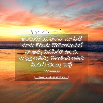 Picture 05 - సంఖ్యాకాండం 27:18 TELIRV - అందుకు యెహోవా - Bible Verse Picture
