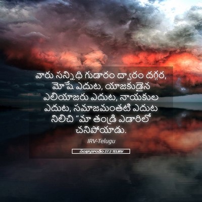 Picture 05 - సంఖ్యాకాండం 27:2 TELIRV - వారు సన్నిధి - Bible Verse Picture