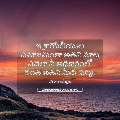 Picture 05 - సంఖ్యాకాండం 27:20 TELIRV - ఇశ్రాయేలీయుల - Bible Verse Picture
