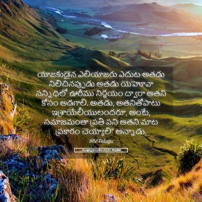 Picture 05 - సంఖ్యాకాండం 27:21 TELIRV - యాజకుడైన ఎలియాజరు - Bible Verse Picture