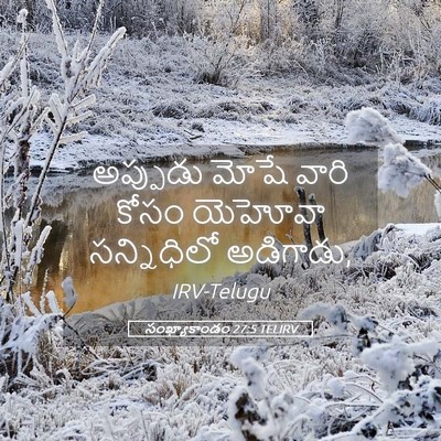 Picture 05 - సంఖ్యాకాండం 27:5 TELIRV - అప్పుడు మోషే వారి - Bible Verse Picture