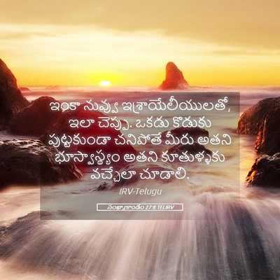 Picture 05 - సంఖ్యాకాండం 27:8 TELIRV - ఇంకా నువ్వు - Bible Verse Picture