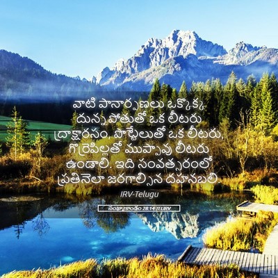 Picture 05 - సంఖ్యాకాండం 28:14 TELIRV - వాటి పానార్పణలు - Bible Verse Picture