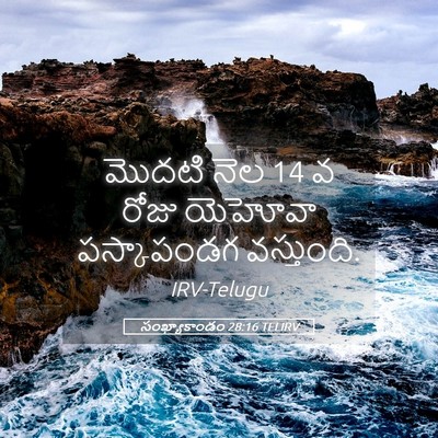 Picture 05 - సంఖ్యాకాండం 28:16 TELIRV - మొదటి నెల 14 వ రోజు - Bible Verse Picture