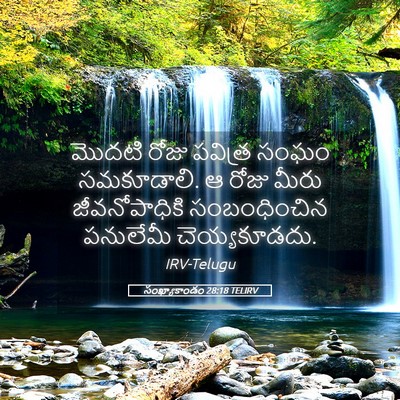Picture 05 - సంఖ్యాకాండం 28:18 TELIRV - మొదటి రోజు పవిత్ర - Bible Verse Picture