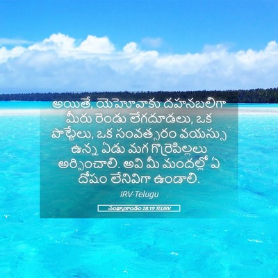 Picture 05 - సంఖ్యాకాండం 28:19 TELIRV - అయితే, యెహోవాకు - Bible Verse Picture