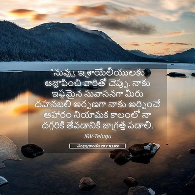 Picture 05 - సంఖ్యాకాండం 28:2 TELIRV - “నువ్వు - Bible Verse Picture