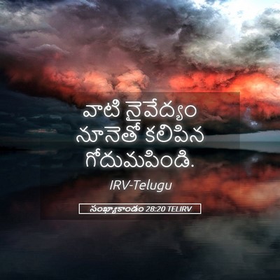 Picture 05 - సంఖ్యాకాండం 28:20 TELIRV - వాటి నైవేద్యం - Bible Verse Picture