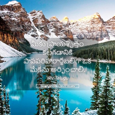 Picture 05 - సంఖ్యాకాండం 28:22 TELIRV - మీకు - Bible Verse Picture