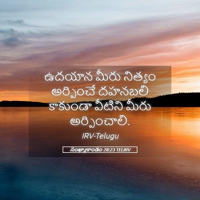 Picture 05 - సంఖ్యాకాండం 28:23 TELIRV - ఉదయాన మీరు నిత్యం - Bible Verse Picture
