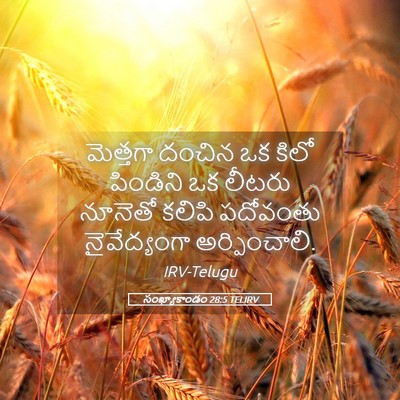 Picture 05 - సంఖ్యాకాండం 28:5 TELIRV - మెత్తగా దంచిన ఒక - Bible Verse Picture