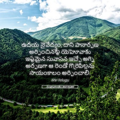 Picture 05 - సంఖ్యాకాండం 28:8 TELIRV - ఉదయ నైవేద్యం, దాని - Bible Verse Picture
