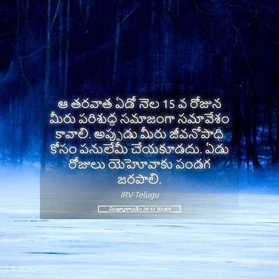 Picture 05 - సంఖ్యాకాండం 29:12 TELIRV - ఆ తరవాత ఏడో నెల 15 వ - Bible Verse Picture