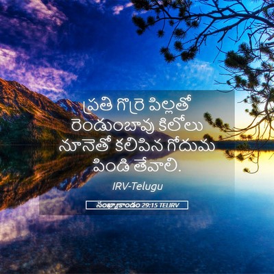 Picture 05 - సంఖ్యాకాండం 29:15 TELIRV - ప్రతి గొర్రె - Bible Verse Picture