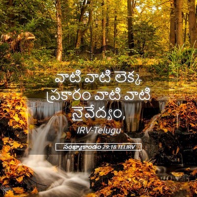 Picture 05 - సంఖ్యాకాండం 29:18 TELIRV - వాటి వాటి లెక్క - Bible Verse Picture