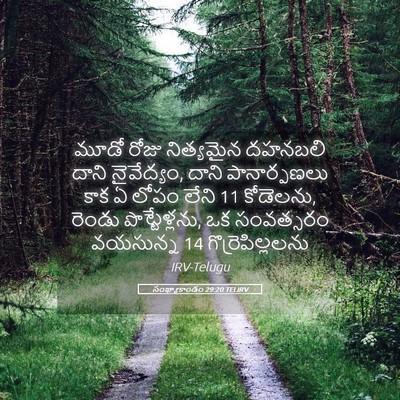 Picture 05 - సంఖ్యాకాండం 29:20 TELIRV - మూడో రోజు - Bible Verse Picture