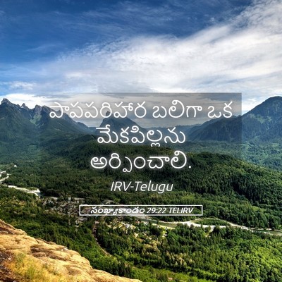 Picture 05 - సంఖ్యాకాండం 29:22 TELIRV - పాపపరిహార బలిగా - Bible Verse Picture