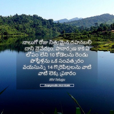 Picture 05 - సంఖ్యాకాండం 29:23 TELIRV - నాలుగో రోజు - Bible Verse Picture