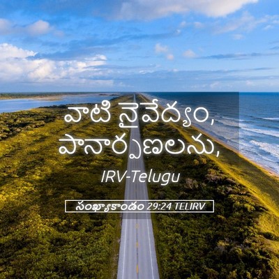 Picture 05 - సంఖ్యాకాండం 29:24 TELIRV - వాటి నైవేద్యం, - Bible Verse Picture
