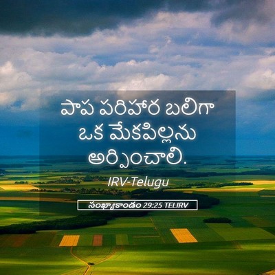 Picture 05 - సంఖ్యాకాండం 29:25 TELIRV - పాప పరిహార బలిగా - Bible Verse Picture