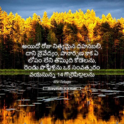Picture 05 - సంఖ్యాకాండం 29:26 TELIRV - అయిదో రోజు - Bible Verse Picture