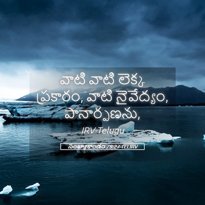 Picture 05 - సంఖ్యాకాండం 29:27 TELIRV - వాటి వాటి లెక్క - Bible Verse Picture