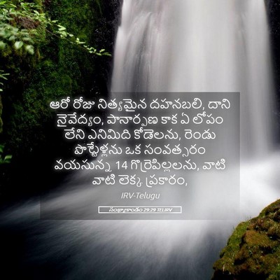 Picture 05 - సంఖ్యాకాండం 29:29 TELIRV - ఆరో రోజు నిత్యమైన - Bible Verse Picture