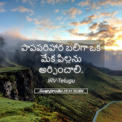 Picture 05 - సంఖ్యాకాండం 29:31 TELIRV - పాపపరిహార బలిగా - Bible Verse Picture
