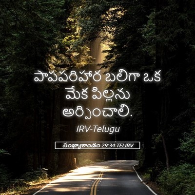 Picture 05 - సంఖ్యాకాండం 29:34 TELIRV - పాపపరిహార బలిగా - Bible Verse Picture