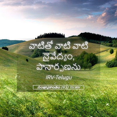 Picture 05 - సంఖ్యాకాండం 29:37 TELIRV - వాటితో వాటి వాటి - Bible Verse Picture