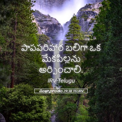 Picture 05 - సంఖ్యాకాండం 29:38 TELIRV - పాపపరిహార బలిగా - Bible Verse Picture