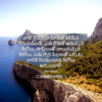 Picture 05 - సంఖ్యాకాండం 29:5 TELIRV - వాటి నైవేద్యం - Bible Verse Picture