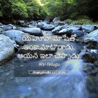 Picture 05 - సంఖ్యాకాండం 3:11 TELIRV - యెహోవా మోషేతో - Bible Verse Picture