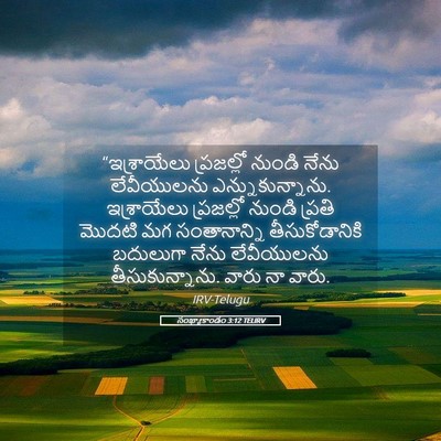 Picture 05 - సంఖ్యాకాండం 3:12 TELIRV - “ఇశ్రాయేలు - Bible Verse Picture