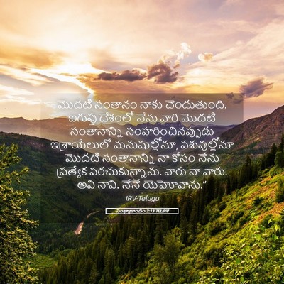 Picture 05 - సంఖ్యాకాండం 3:13 TELIRV - మొదటి సంతానం నాకు - Bible Verse Picture