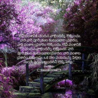 Picture 05 - సంఖ్యాకాండం 3:15 TELIRV - “లేవీ వంశానికి - Bible Verse Picture