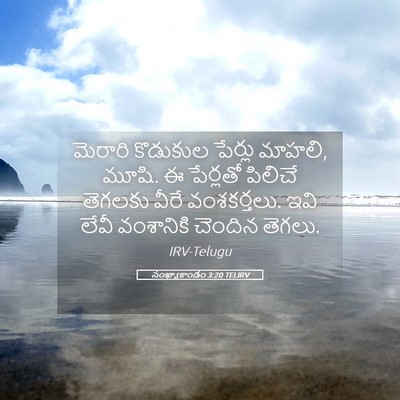 Picture 05 - సంఖ్యాకాండం 3:20 TELIRV - మెరారి కొడుకుల - Bible Verse Picture