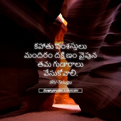 Picture 05 - సంఖ్యాకాండం 3:29 TELIRV - కహాతు వంశస్తులు - Bible Verse Picture