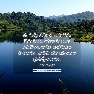 Picture 05 - సంఖ్యాకాండం 3:3 TELIRV - ఈ పేర్లు కలిగిన - Bible Verse Picture