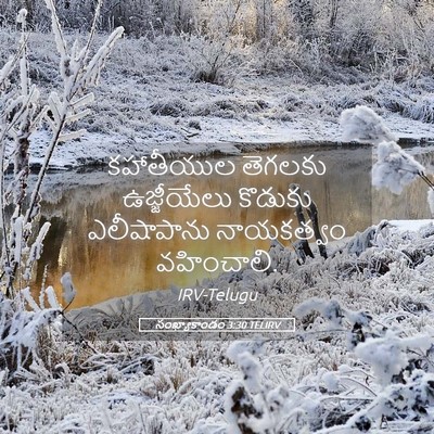 Picture 05 - సంఖ్యాకాండం 3:30 TELIRV - కహాతీయుల తెగలకు - Bible Verse Picture