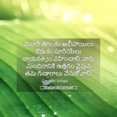 Picture 05 - సంఖ్యాకాండం 3:35 TELIRV - మెరారీ తెగలకు - Bible Verse Picture