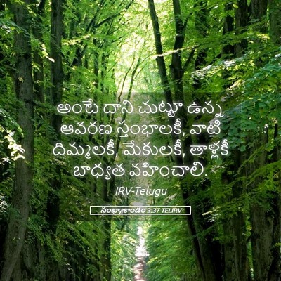 Picture 05 - సంఖ్యాకాండం 3:37 TELIRV - అంటే దాని చుట్టూ - Bible Verse Picture