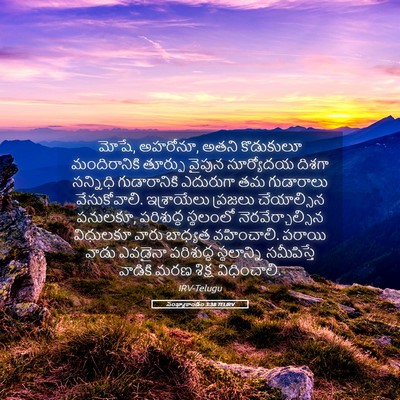 Picture 05 - సంఖ్యాకాండం 3:38 TELIRV - మోషే, అహరోనూ, అతని - Bible Verse Picture