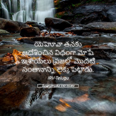 Picture 05 - సంఖ్యాకాండం 3:42 TELIRV - యెహోవా తనకు - Bible Verse Picture