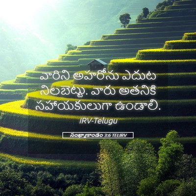 Picture 05 - సంఖ్యాకాండం 3:6 TELIRV - వారిని అహరోను - Bible Verse Picture