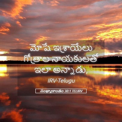 Picture 05 - సంఖ్యాకాండం 30:1 TELIRV - మోషే ఇశ్రాయేలు - Bible Verse Picture