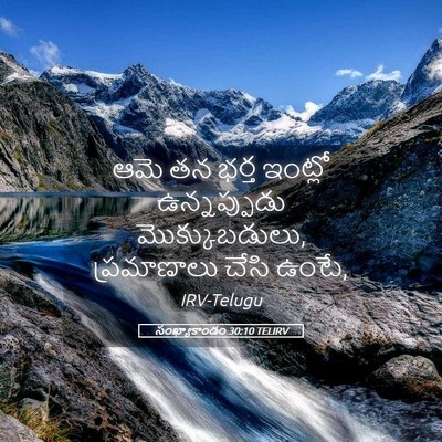 Picture 05 - సంఖ్యాకాండం 30:10 TELIRV - ఆమె తన భర్త ఇంట్లో - Bible Verse Picture