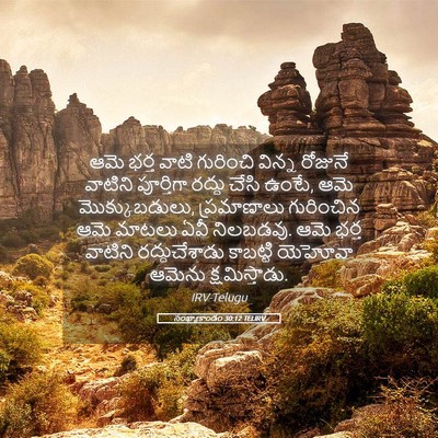 Picture 05 - సంఖ్యాకాండం 30:12 TELIRV - ఆమె భర్త వాటి - Bible Verse Picture